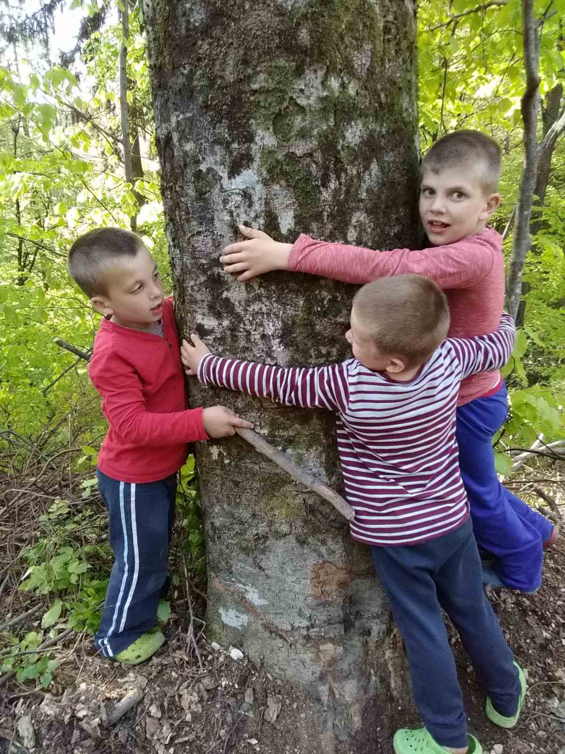 ND Doživetje v gozdu v 1. in 2.r