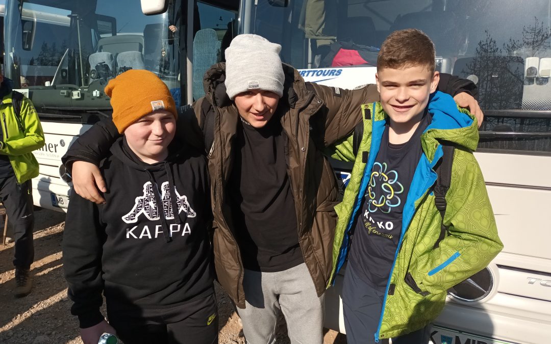 POGOZDOVANJE POGORELEGA KRASA