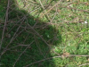 20190315_095038_800x480